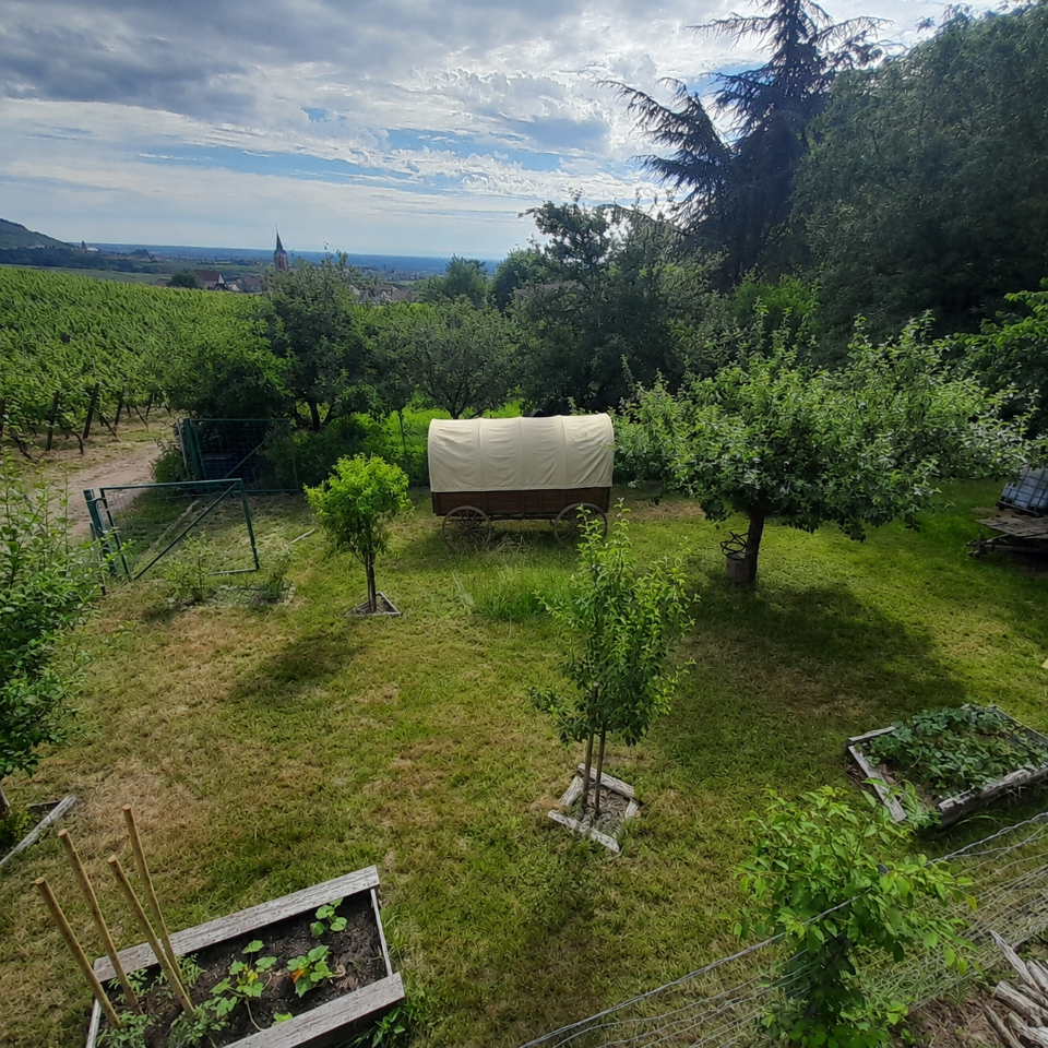Haut-Rhin Glamping