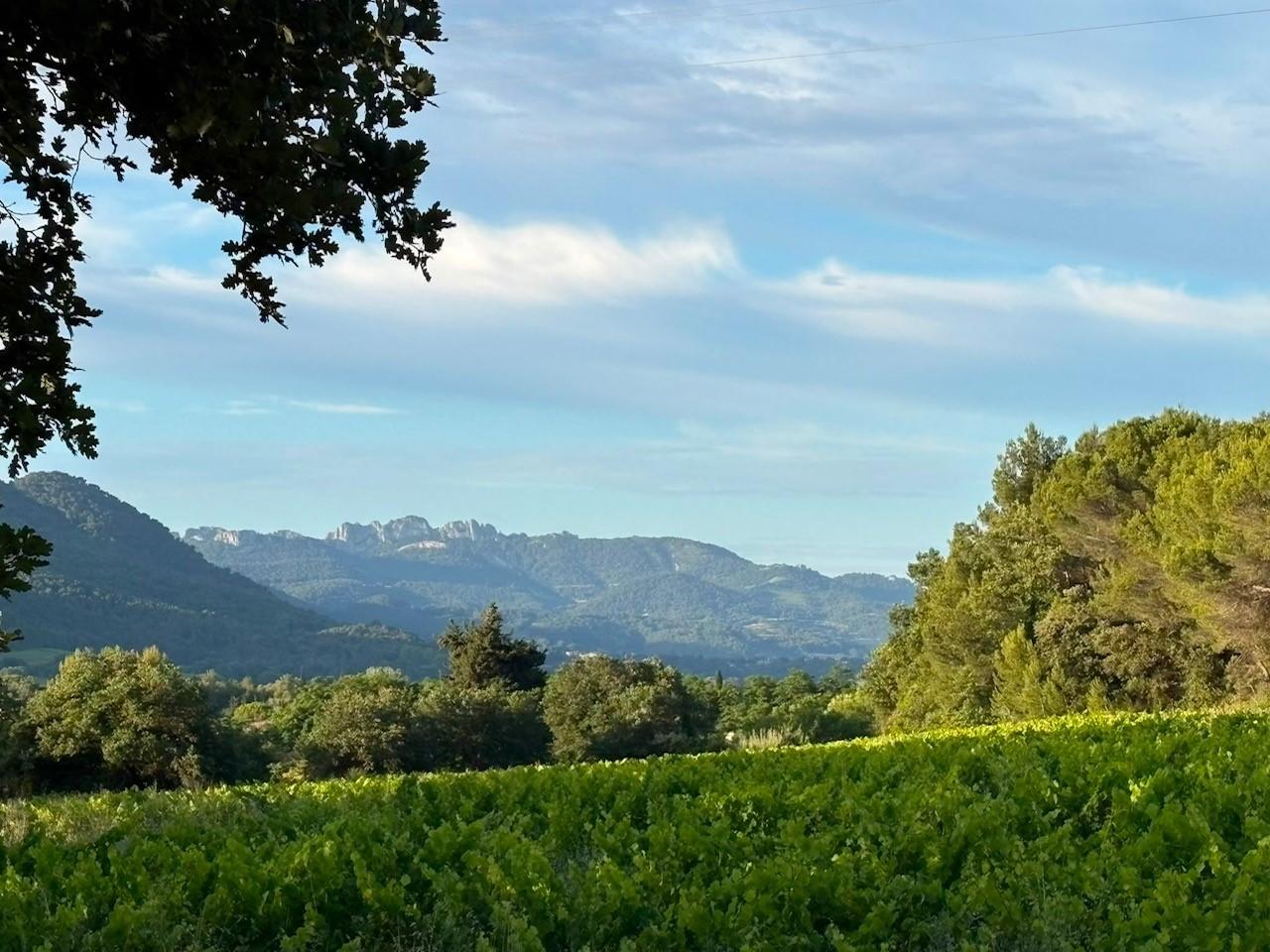 GreenGo Les vignes de Ginette, vieux mas eco rénové jusqu'à 16 personnes