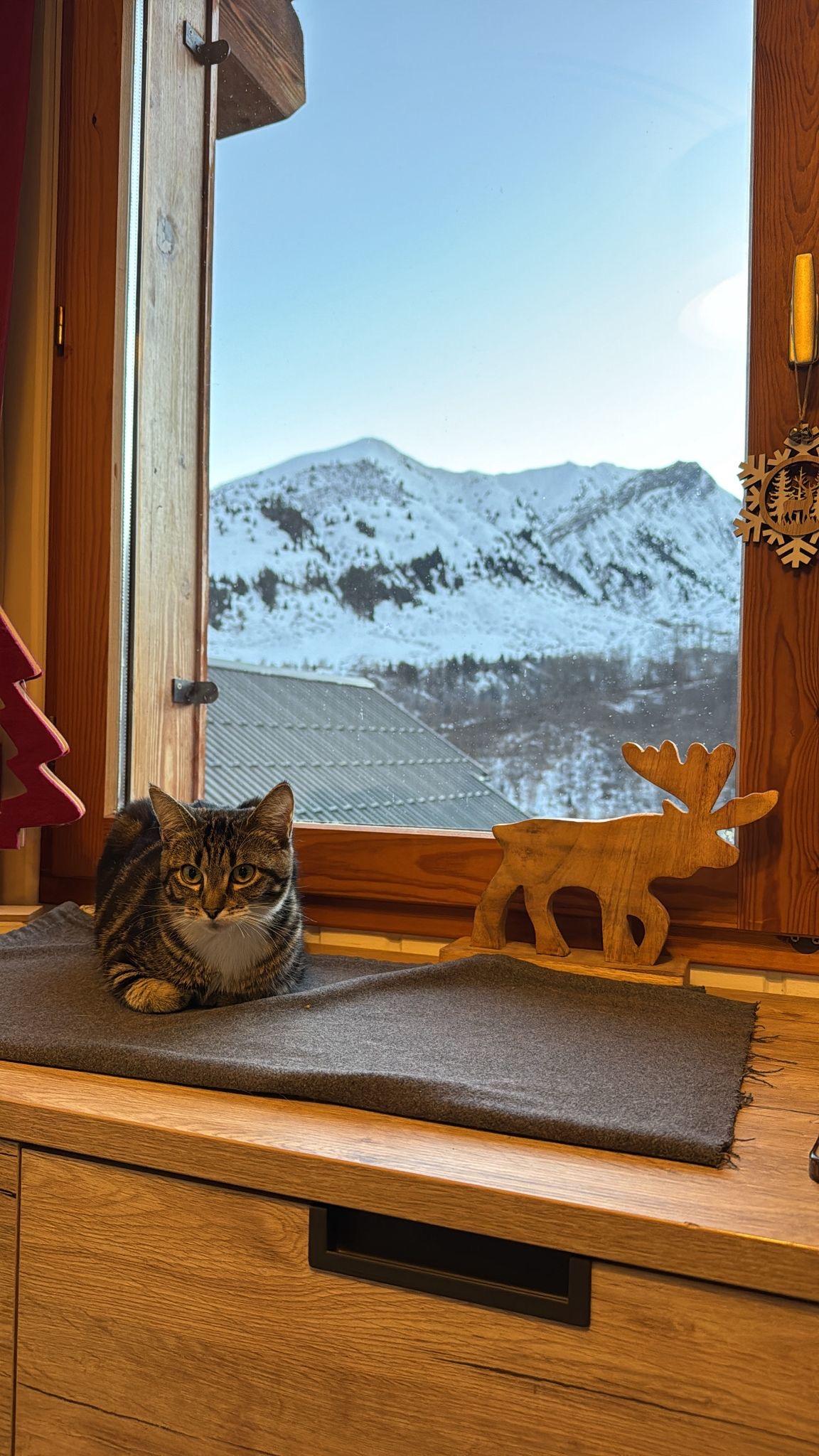 GreenGo location vacances écoresponsables