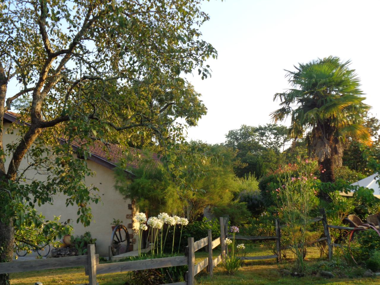 Carte cadeau GreenGo