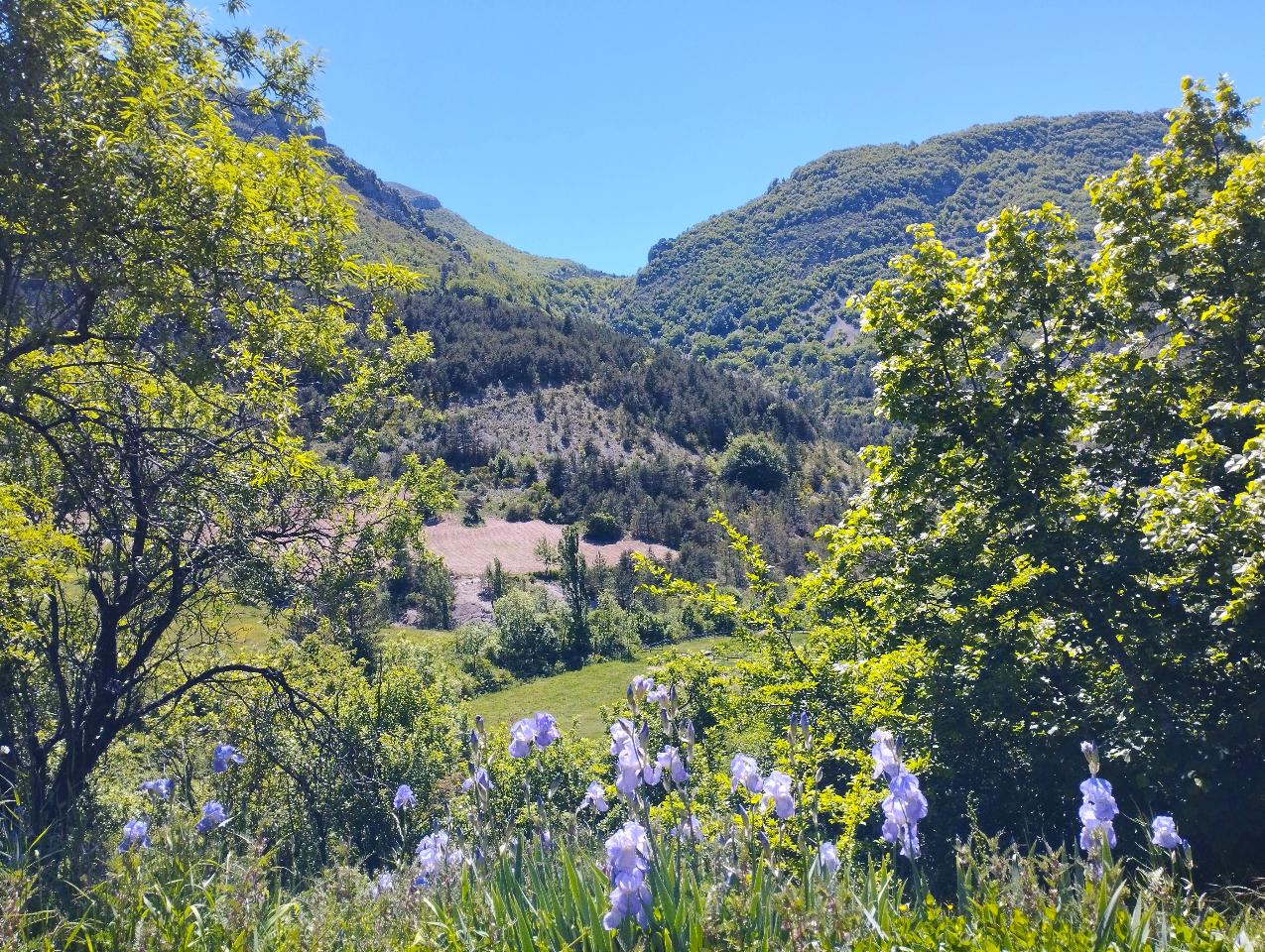 GreenGo location vacances écoresponsables
