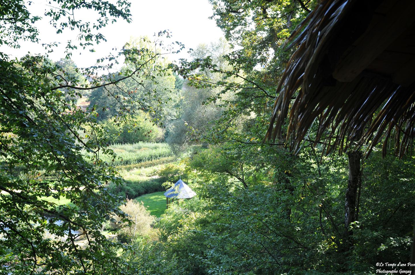 Logement GreenGo: Cabane des lémuriens - Image 5
