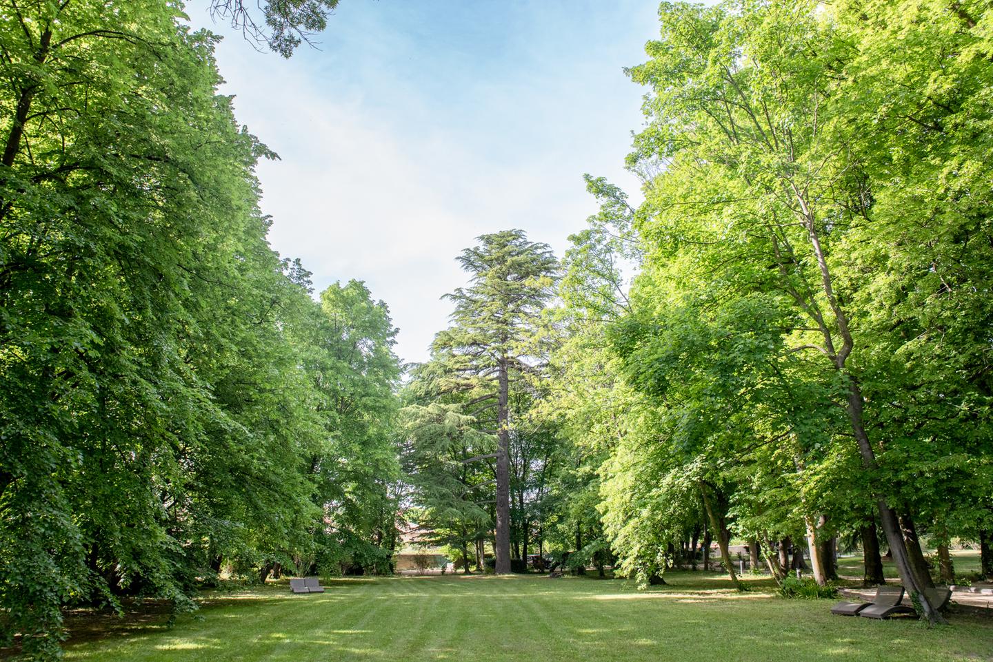 Logement GreenGo: Chambre supérieure côté jardin - Image 8