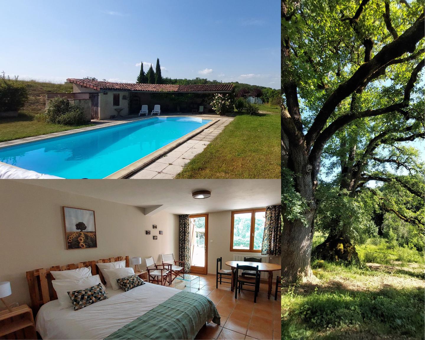 orderedImageAlt_accommodation_default