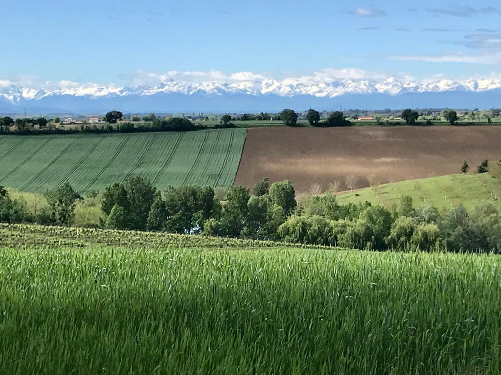 GreenGo Escapade dans la campagne toulousaine