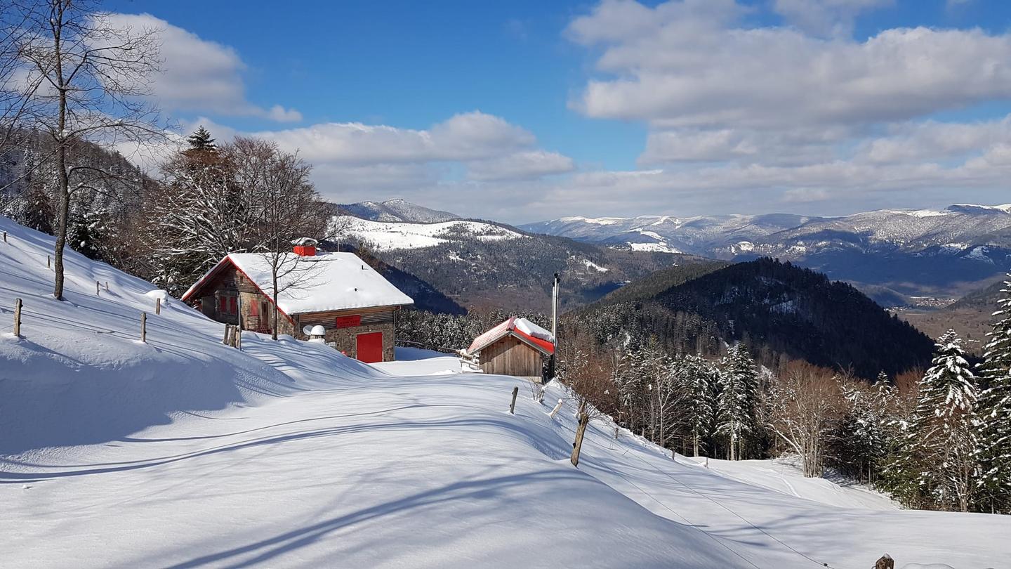 Hôte GreenGo: A l'air de Storck (Gîte de montagne 6-8 pers) 4* - Image 24