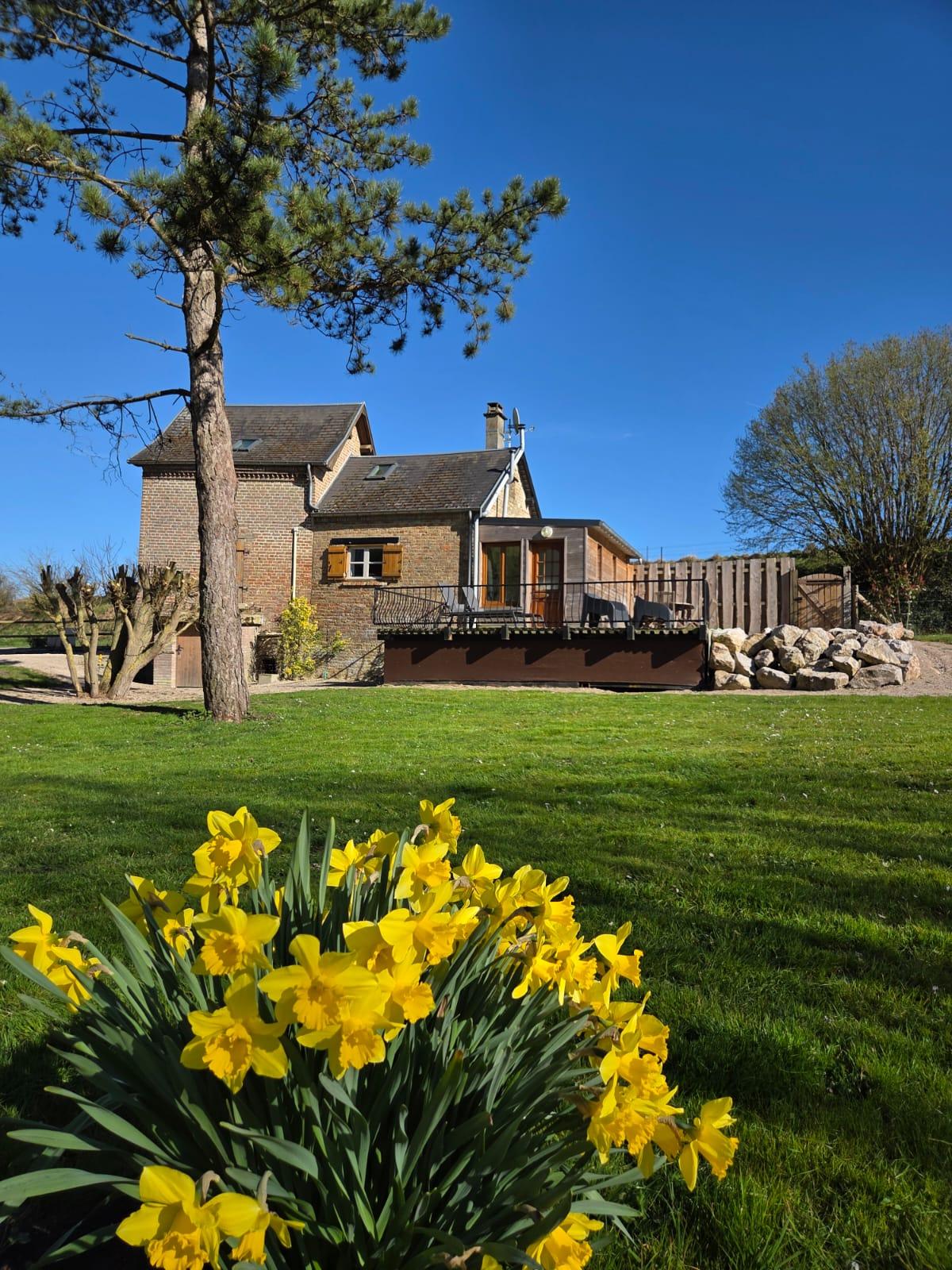 GreenGo La Menthe à Grenouille