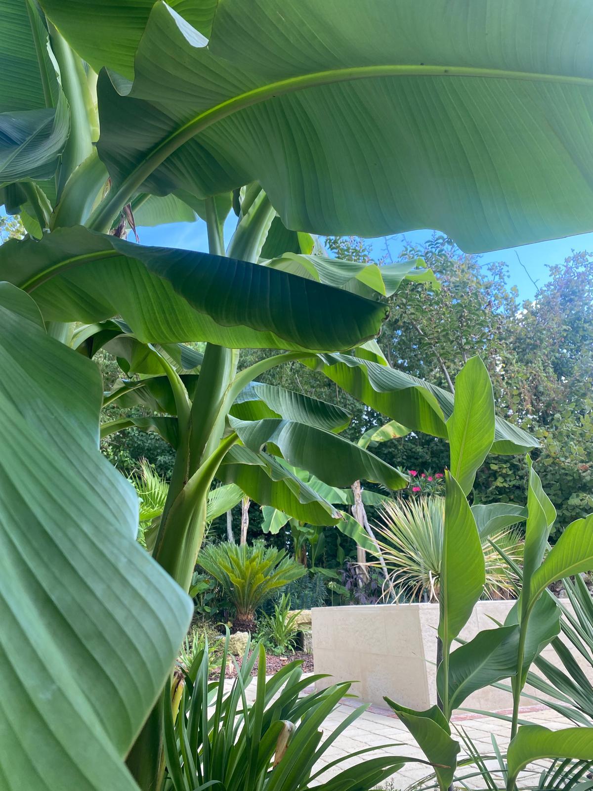 GreenGo location vacances écoresponsables