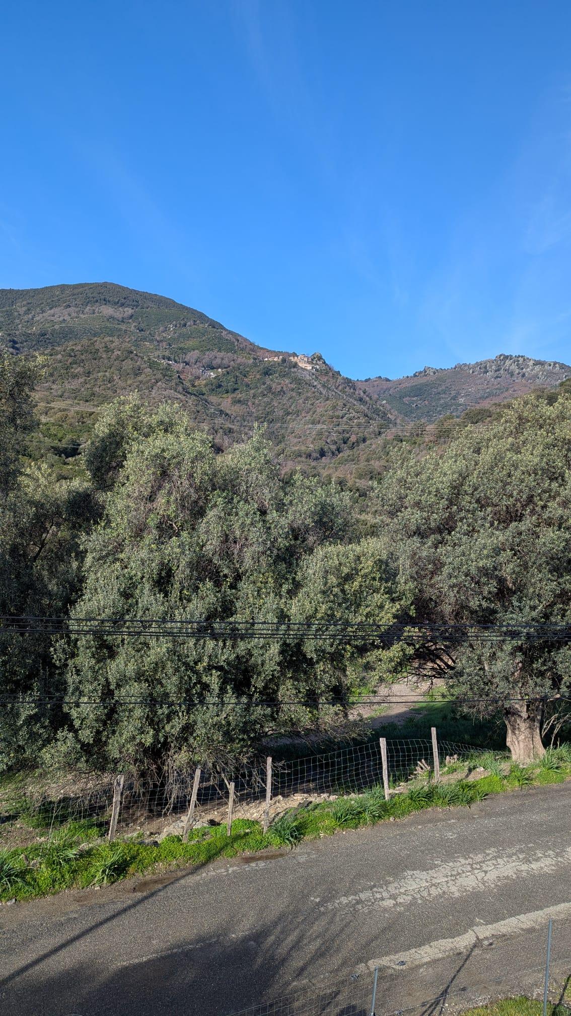 Haute-Corse Authentique