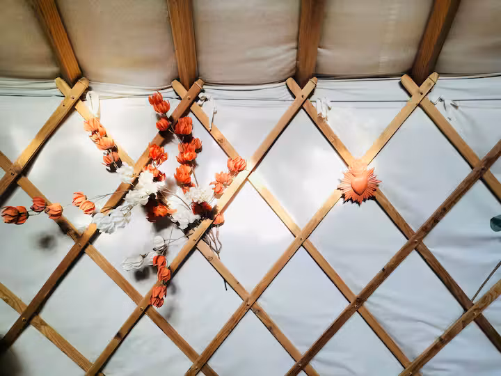 GreenGo location vacances écoresponsables