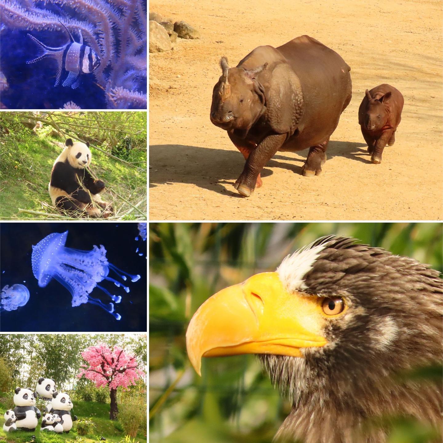 Carte cadeau GreenGo