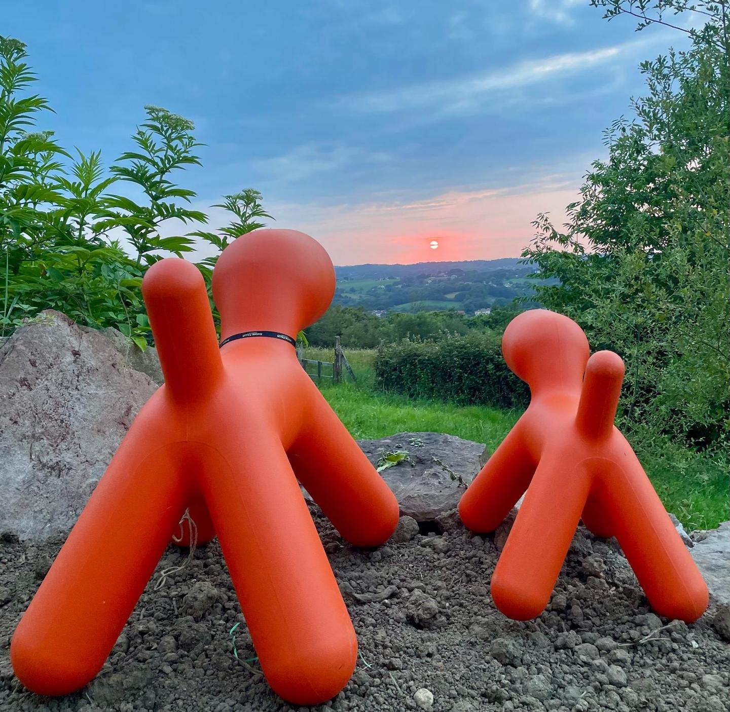 orderedImageAlt_ha_default