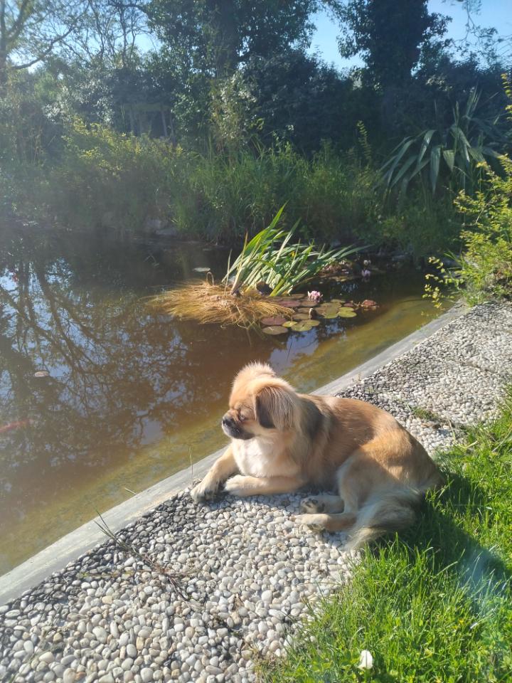 orderedImageAlt_ha_default