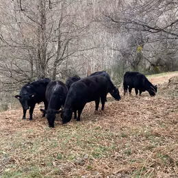 orderedImageAlt_ha_default