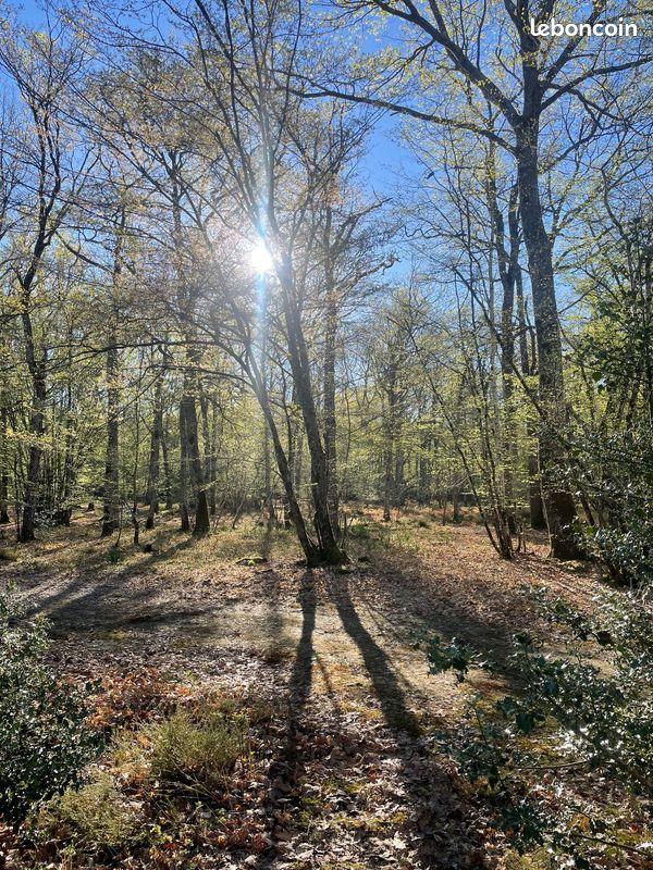 orderedImageAlt_ha_default