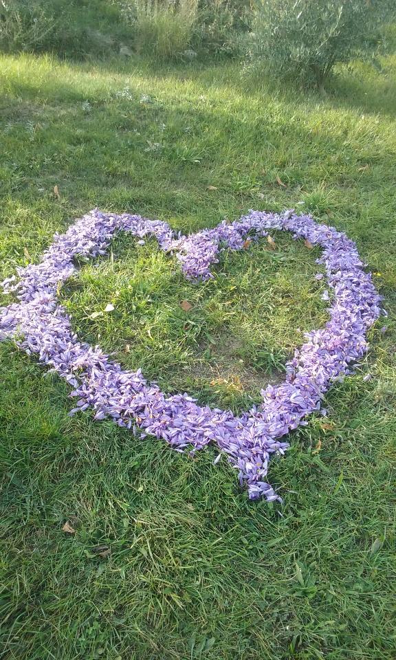 orderedImageAlt_ha_default