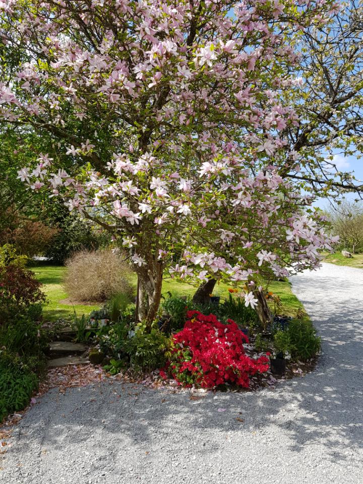 orderedImageAlt_ha_default