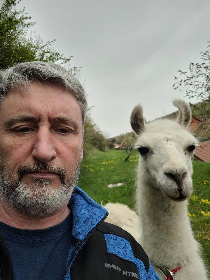 orderedImageAlt_ha_default