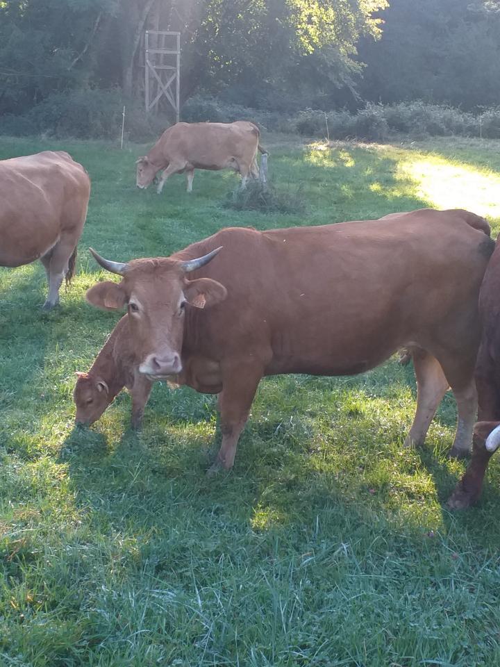 orderedImageAlt_ha_default