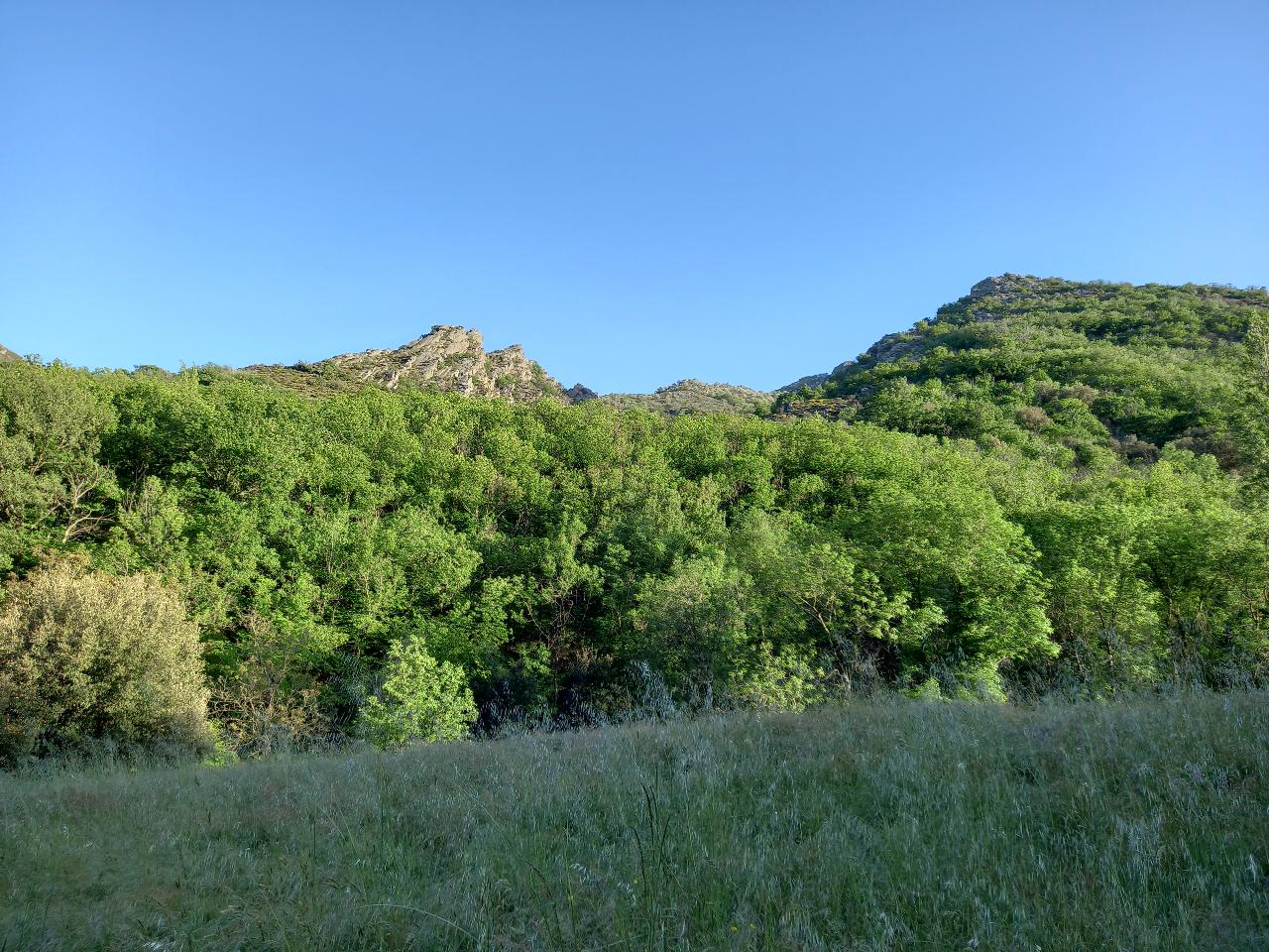 orderedImageAlt_ha_default