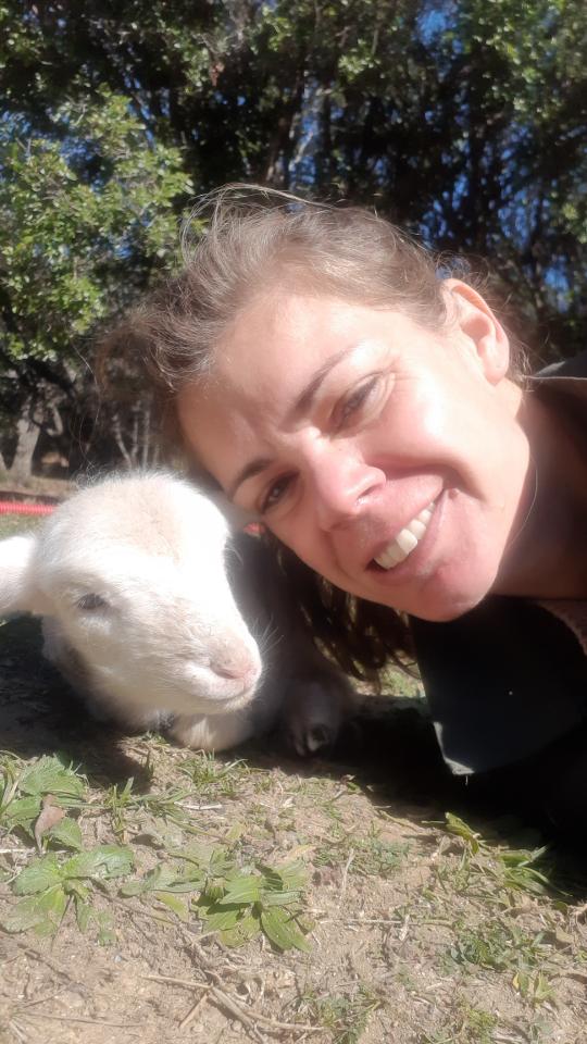 orderedImageAlt_ha_default