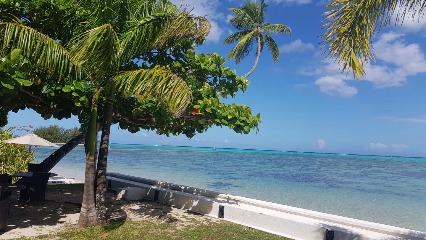 orderedImageAlt_ha_default