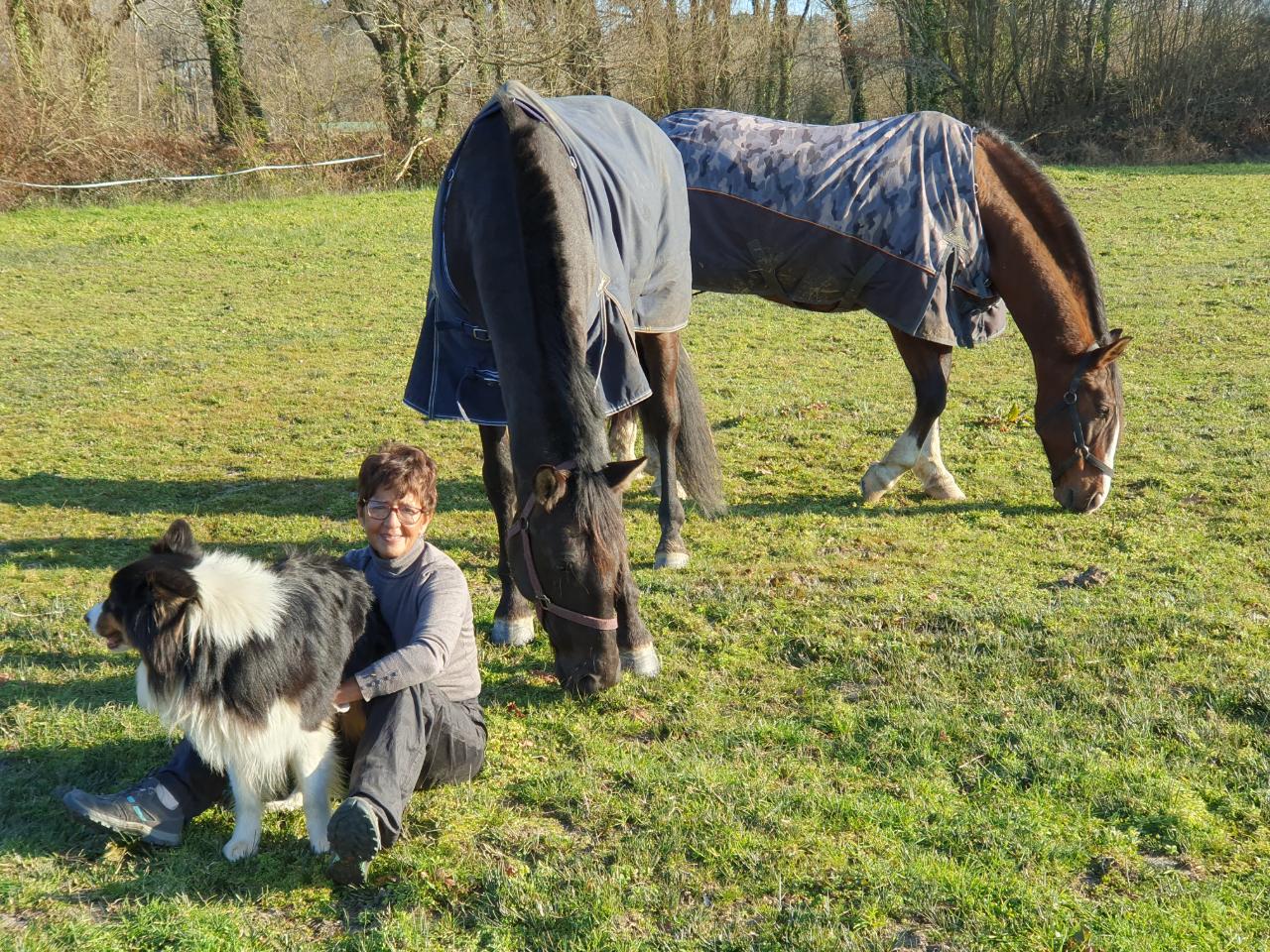 orderedImageAlt_ha_default