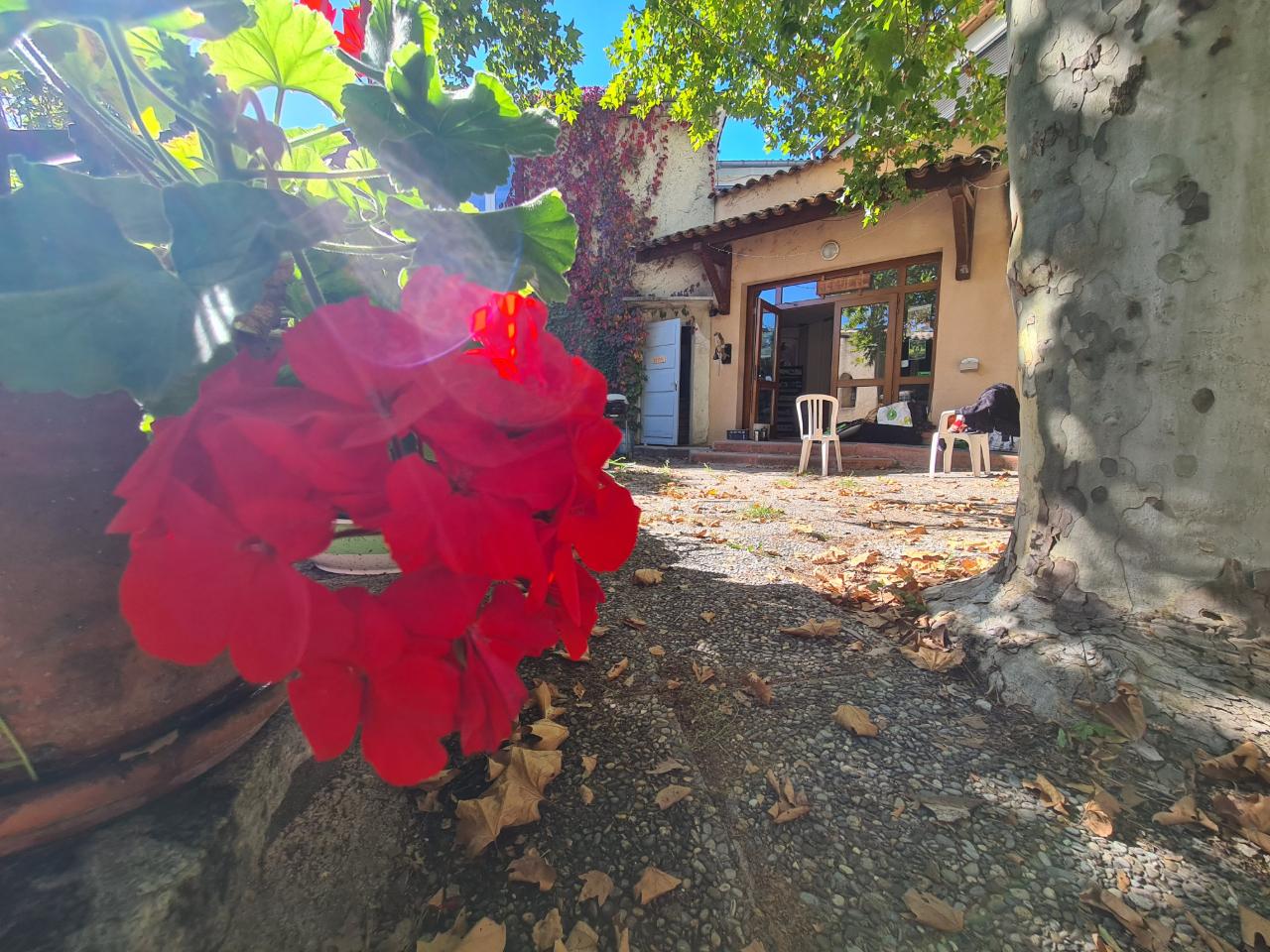 orderedImageAlt_ha_default