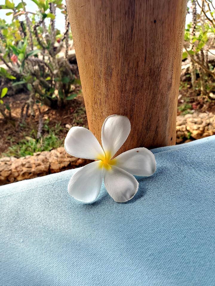 orderedImageAlt_ha_default