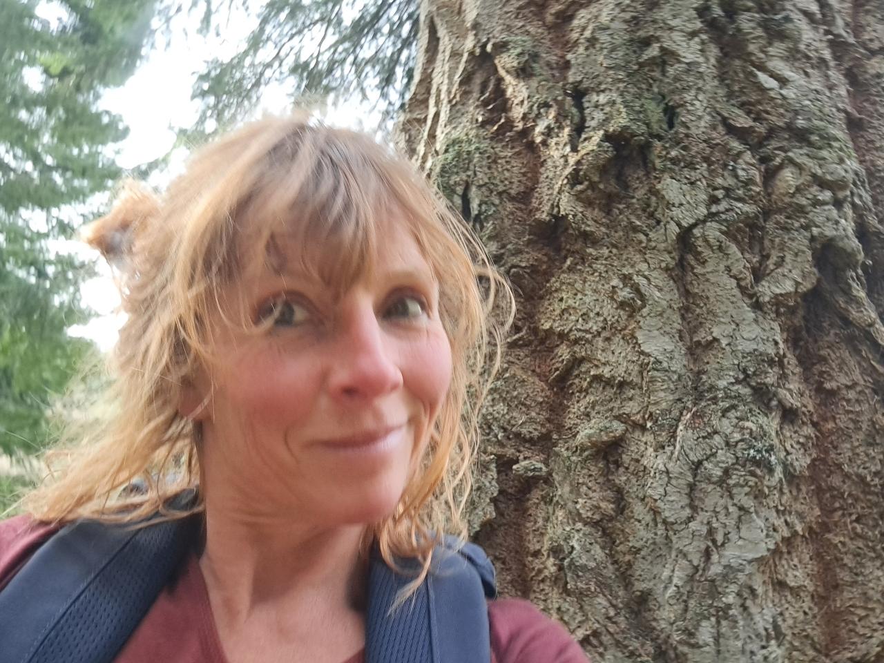 orderedImageAlt_ha_default