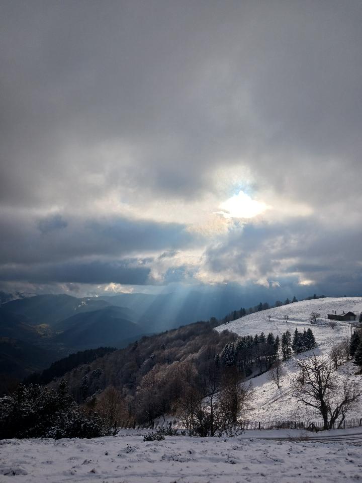 orderedImageAlt_ha_default