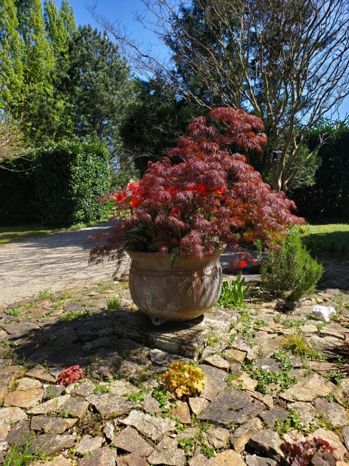 orderedImageAlt_ha_default