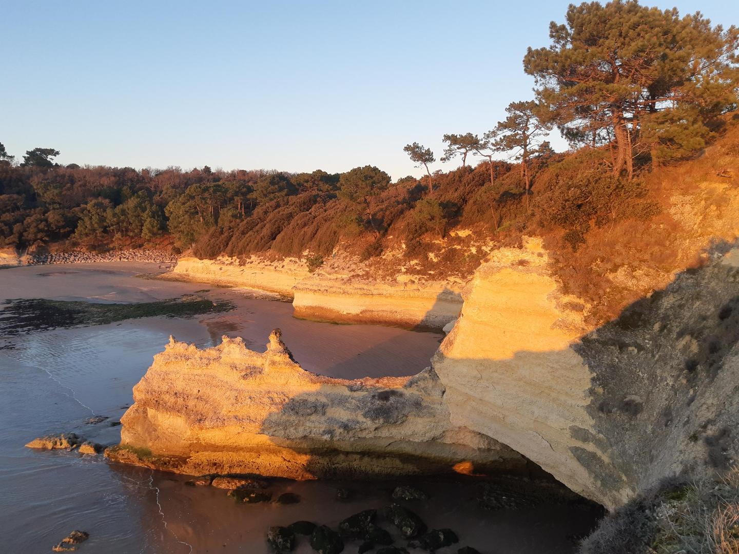 orderedImageAlt_ha_default