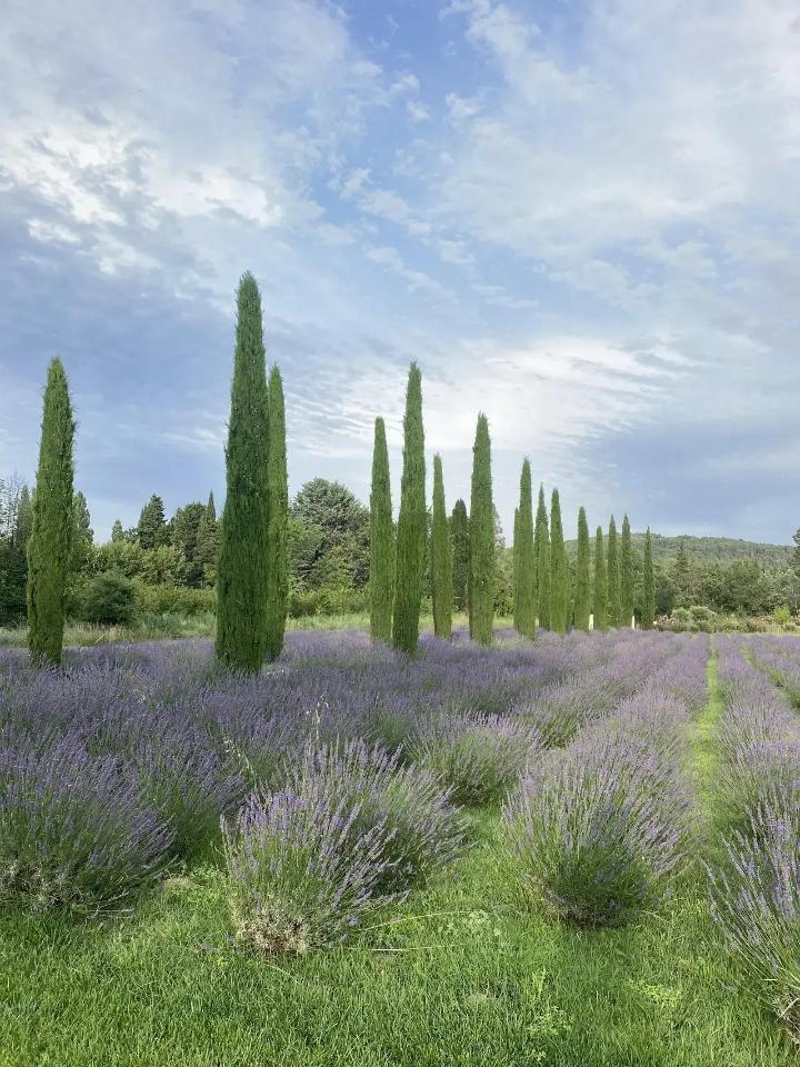 orderedImageAlt_ha_default