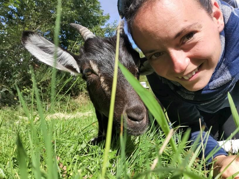 orderedImageAlt_ha_default