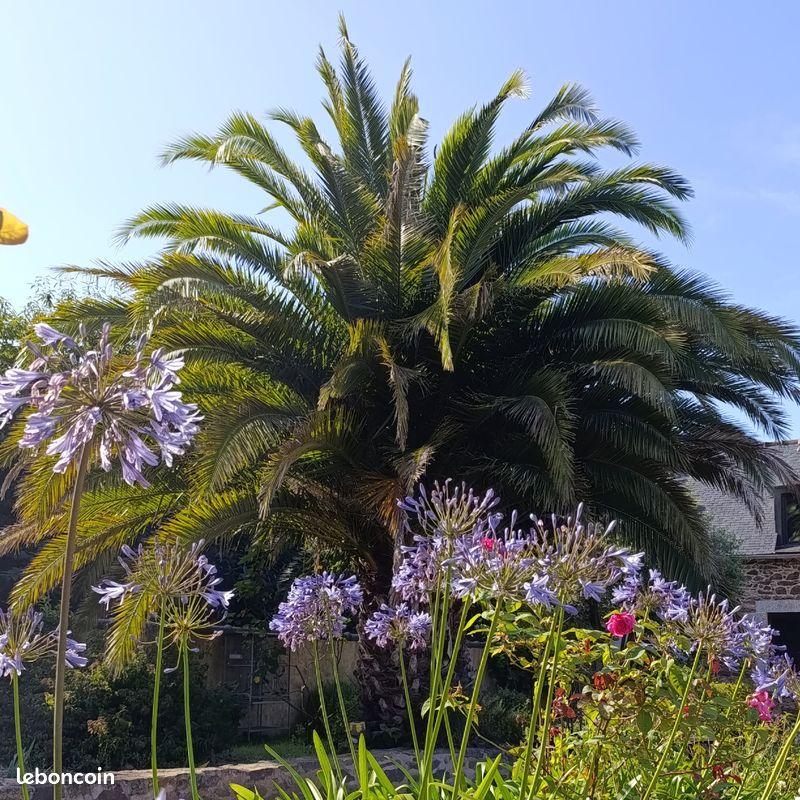 orderedImageAlt_ha_default