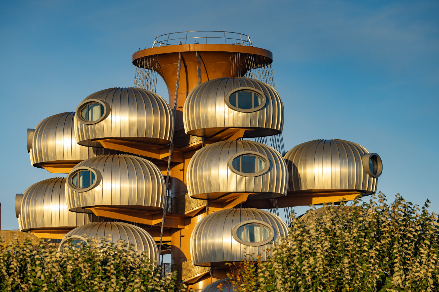 orderedImageAlt_ha_default