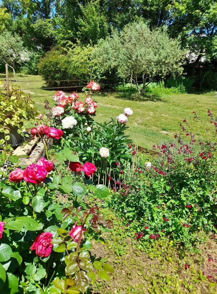 orderedImageAlt_ha_default