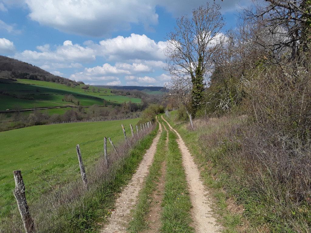 orderedImageAlt_ha_default