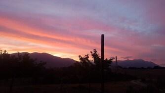 orderedImageAlt_ha_default