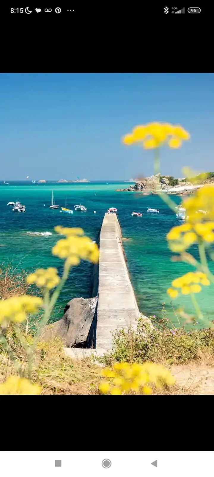 orderedImageAlt_ha_default