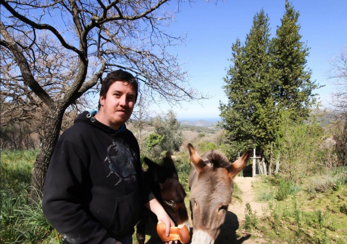 orderedImageAlt_ha_default