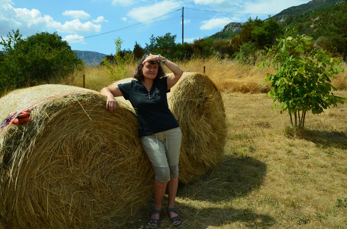 orderedImageAlt_ha_default