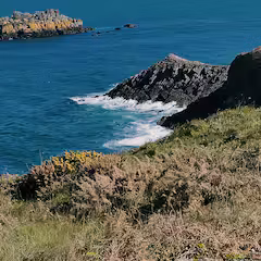 orderedImageAlt_ha_default