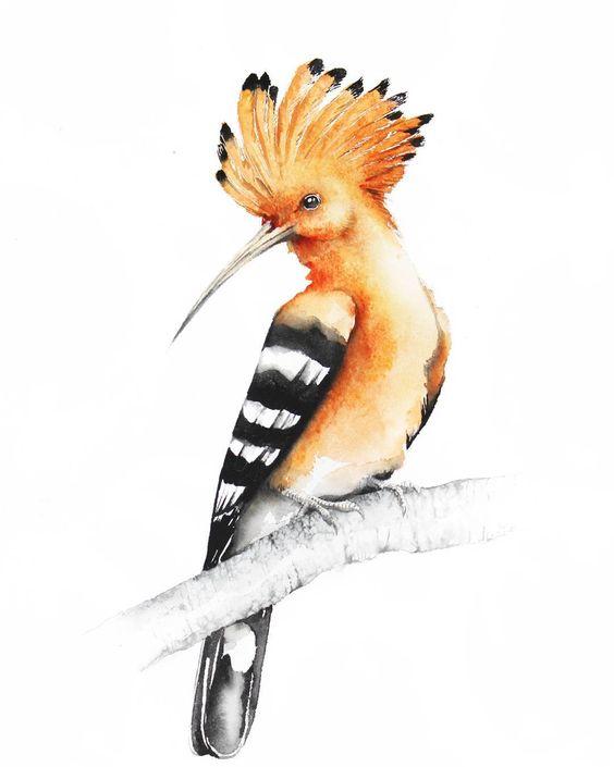 orderedImageAlt_ha_default