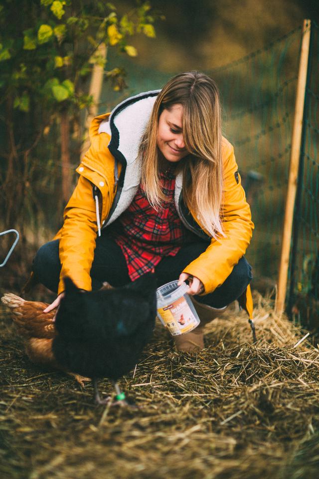 orderedImageAlt_ha_default