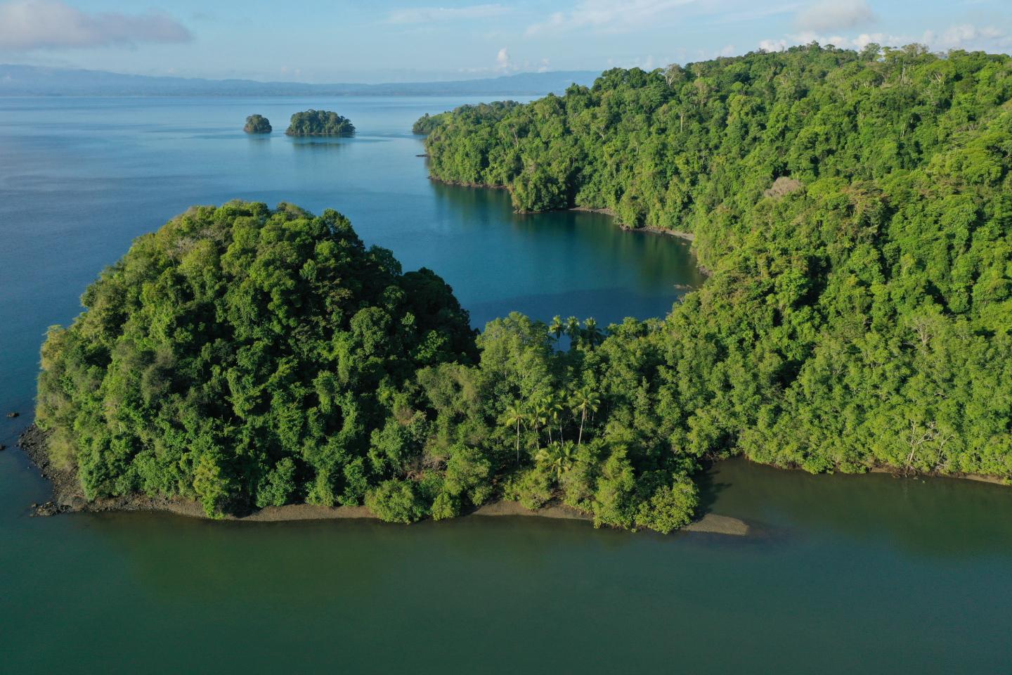 orderedImageAlt_ha_default