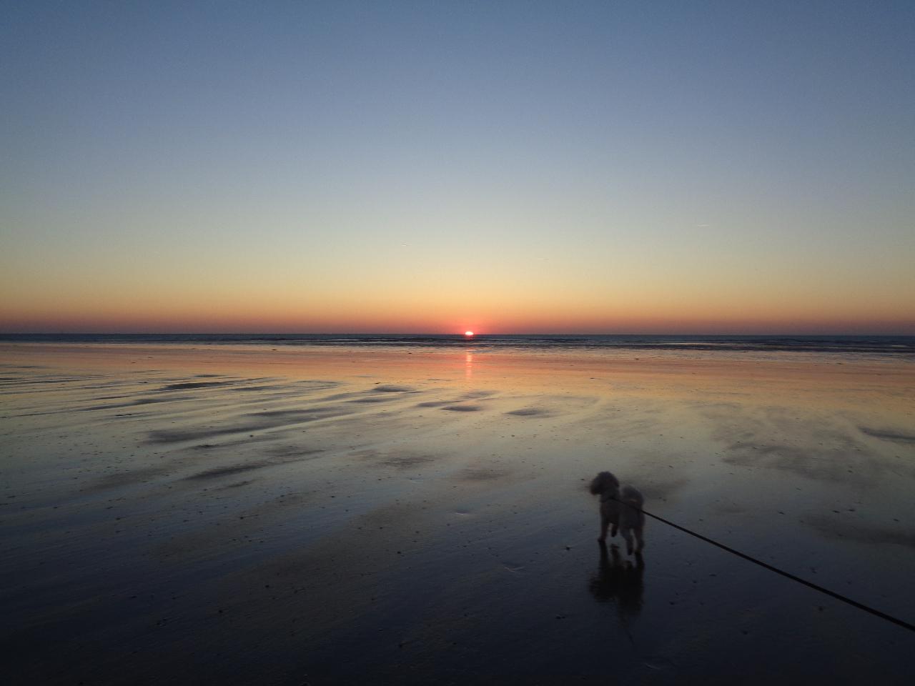 orderedImageAlt_ha_default