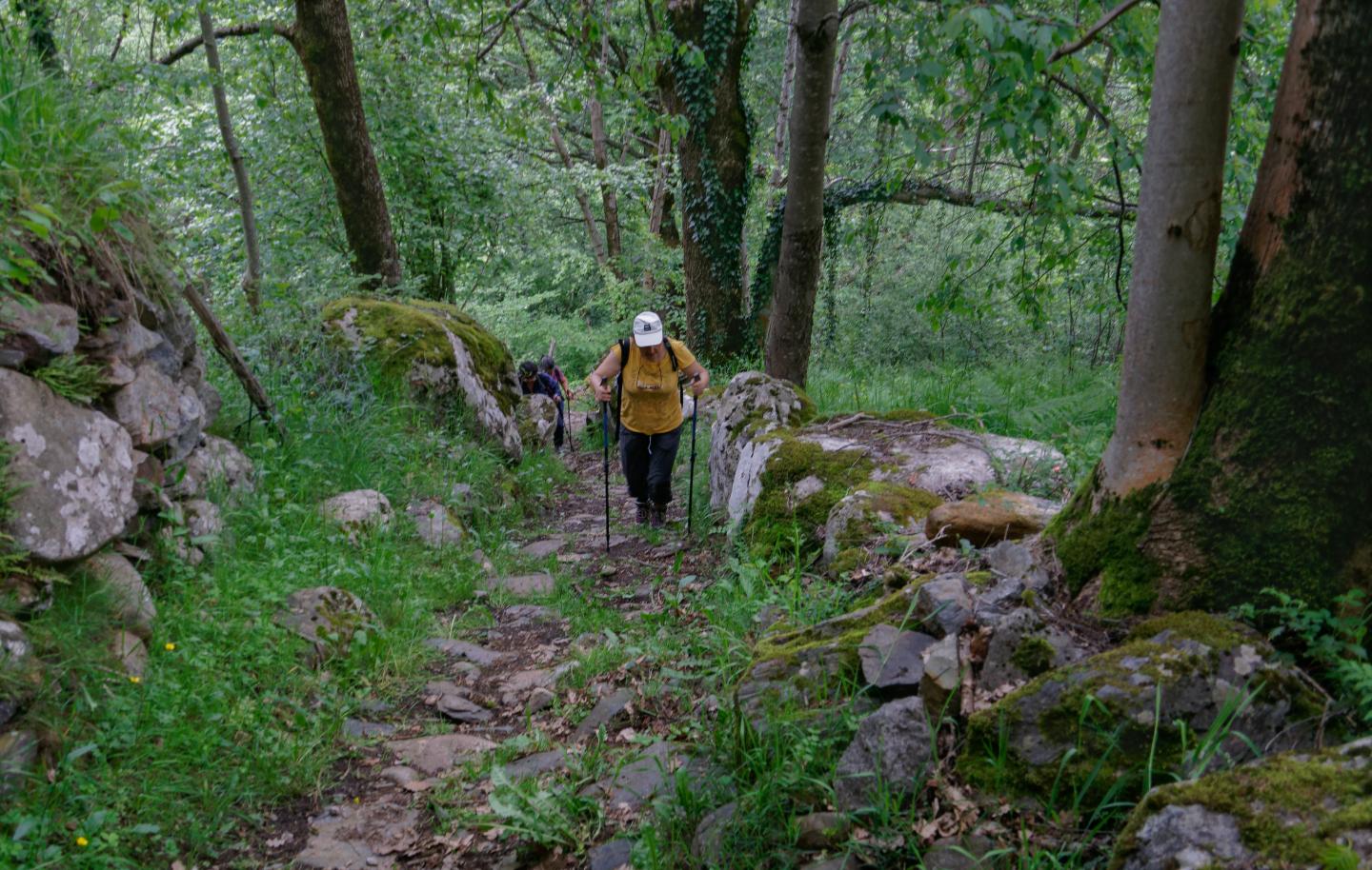 orderedImageAlt_ha_default