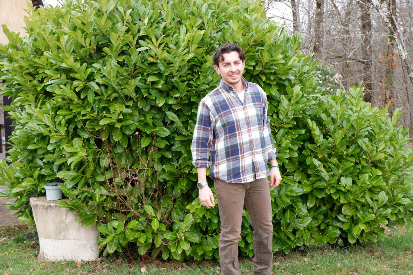 orderedImageAlt_ha_default